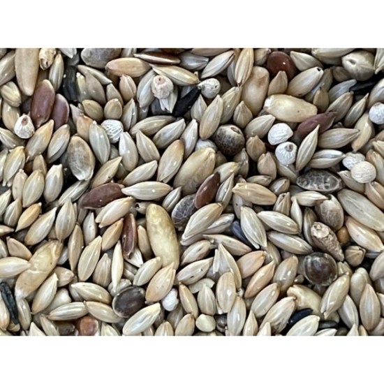 Breeder Plus Canary Mix